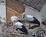 Capi_Dubne_20250723_145503.jpg