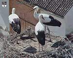 Capi_Dubne_20250723_155003.jpg