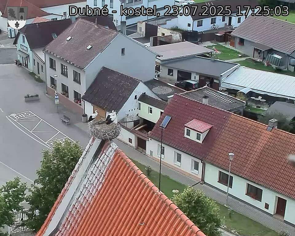Capi_Dubne_20250723_172503.jpg (1350 x 1080)