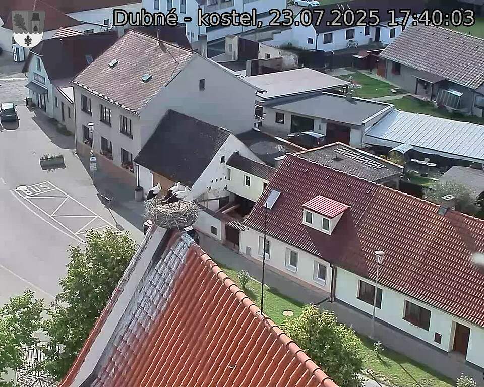Capi_Dubne_20250723_174003.jpg (1350 x 1080)