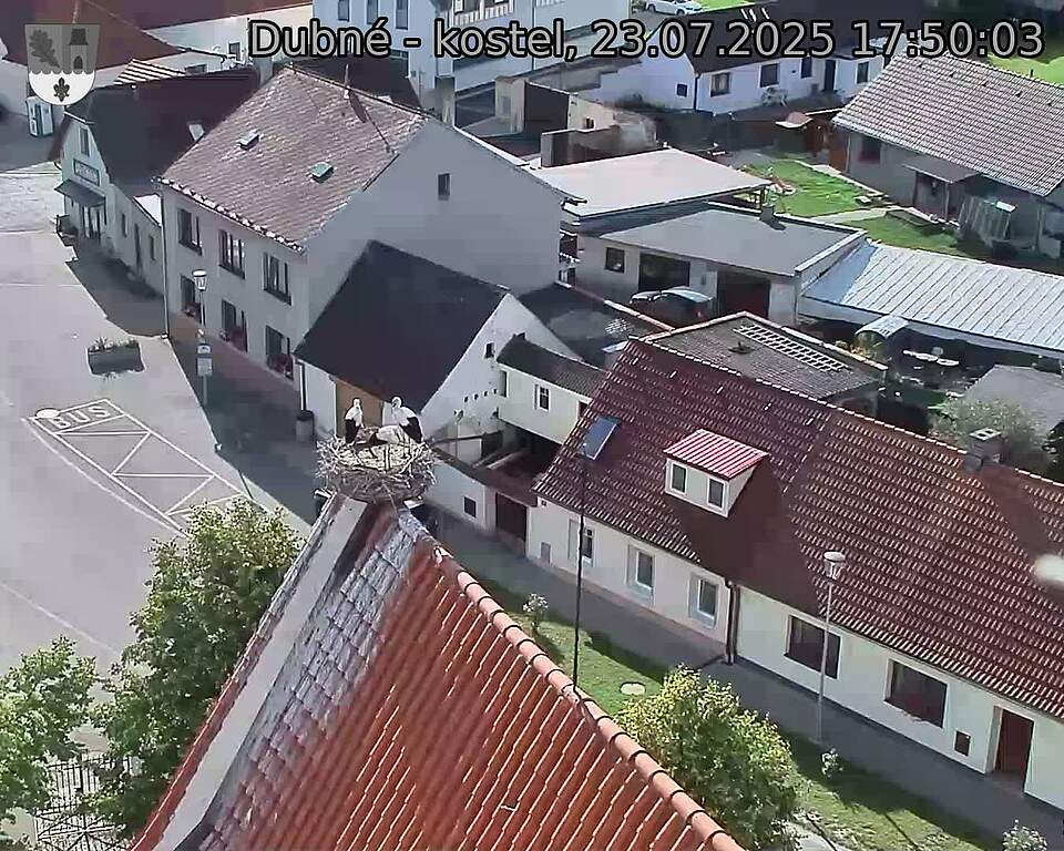 Capi_Dubne_20250723_175003.jpg (1350 x 1080)