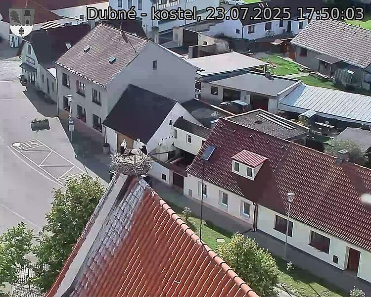 Capi_Dubne_20250723_175003.jpg (1350 x 1080)