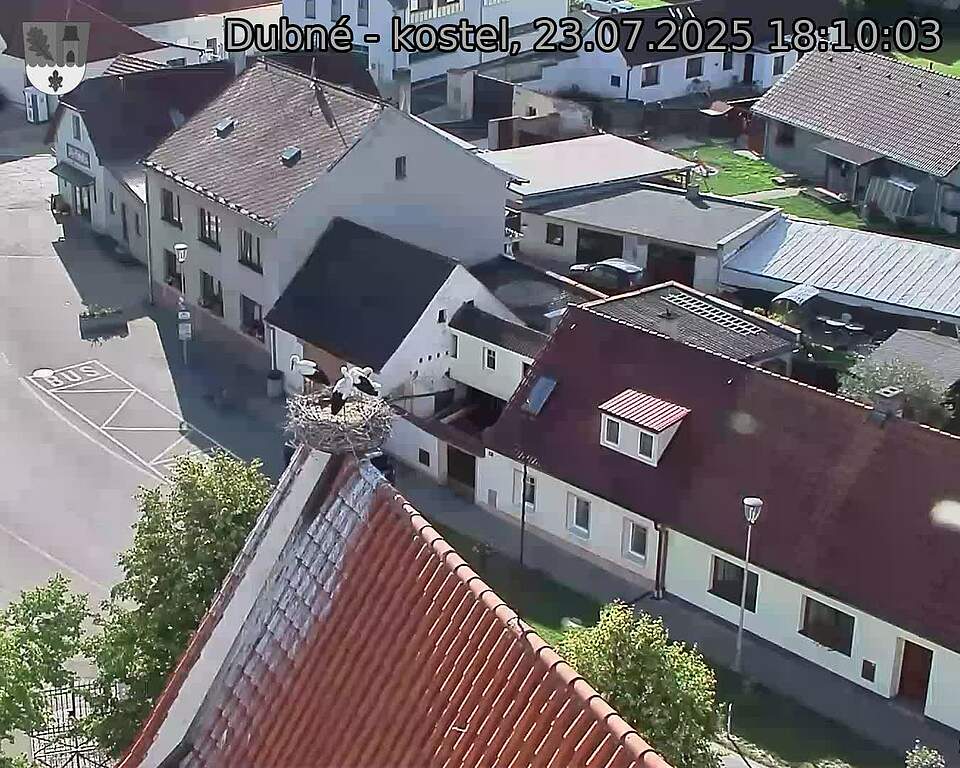 Capi_Dubne_20250723_181003.jpg (1350 x 1080)