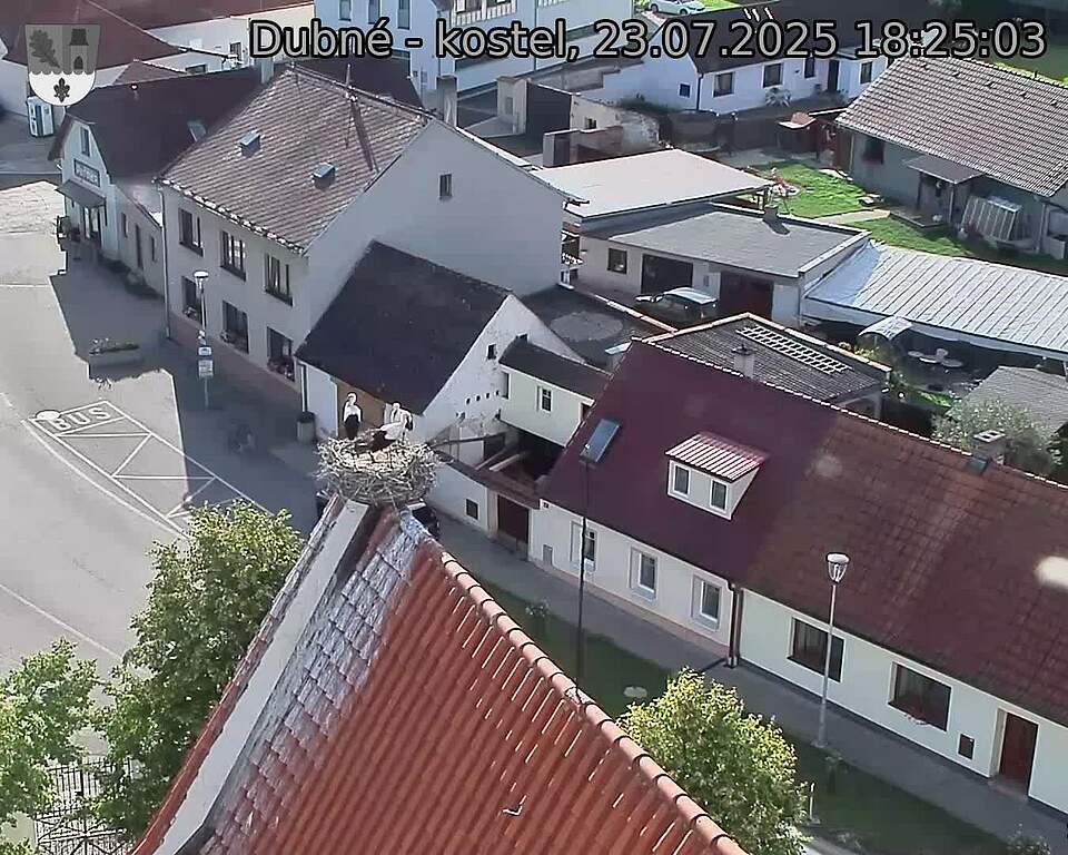 Capi_Dubne_20250723_182503.jpg (1350 x 1080)
