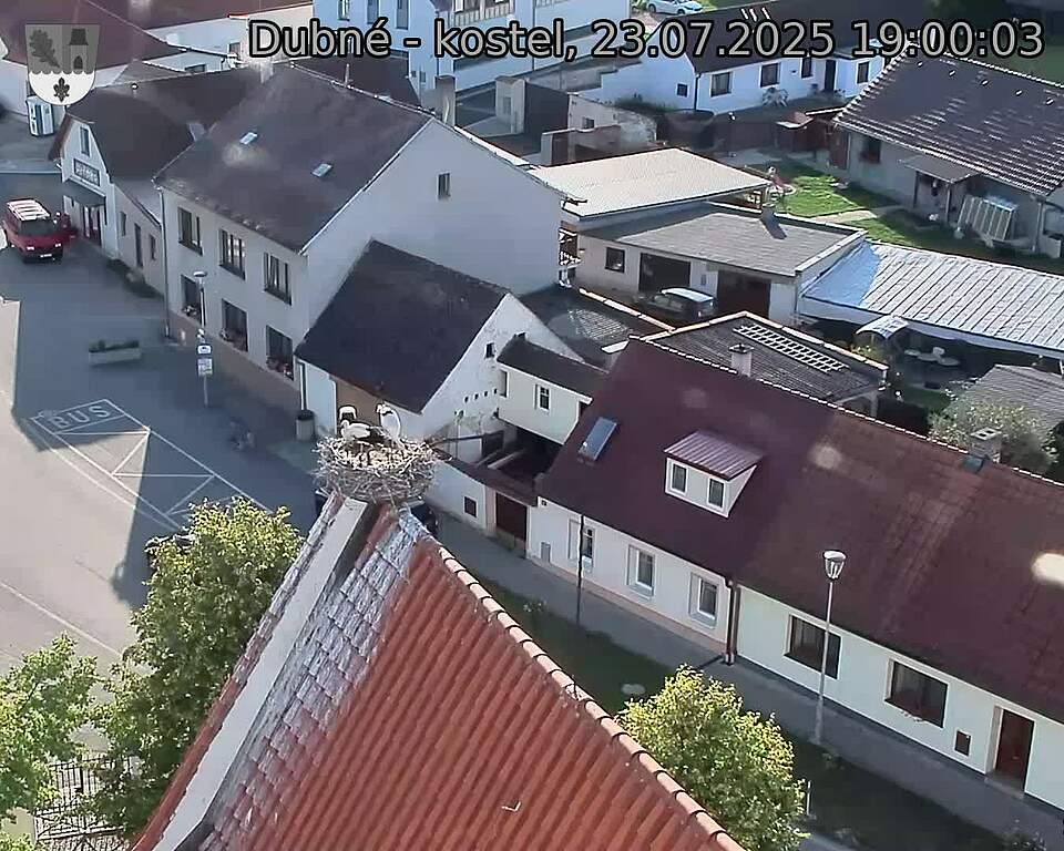 Capi_Dubne_20250723_190003.jpg (1350 x 1080)