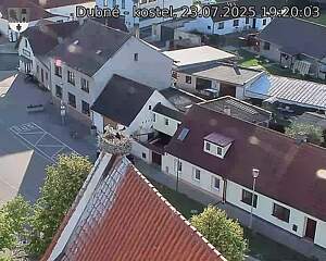 Capi_Dubne_20250723_192003.jpg (1350 x 1080)