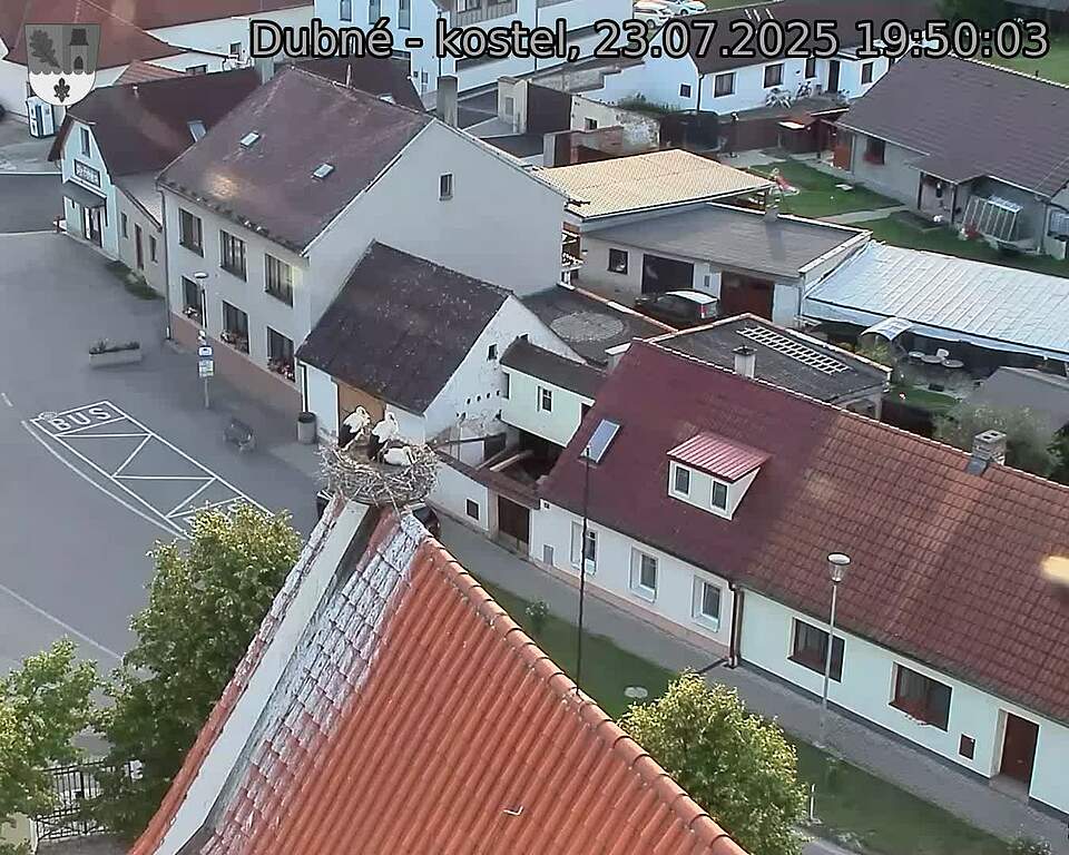Capi_Dubne_20250723_195003.jpg (1350 x 1080)