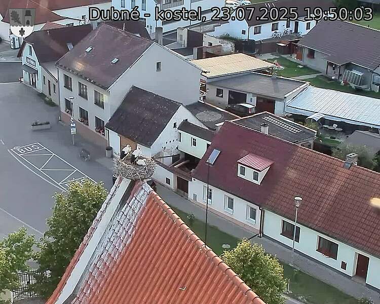 Capi_Dubne_20250723_195003.jpg (1350 x 1080)