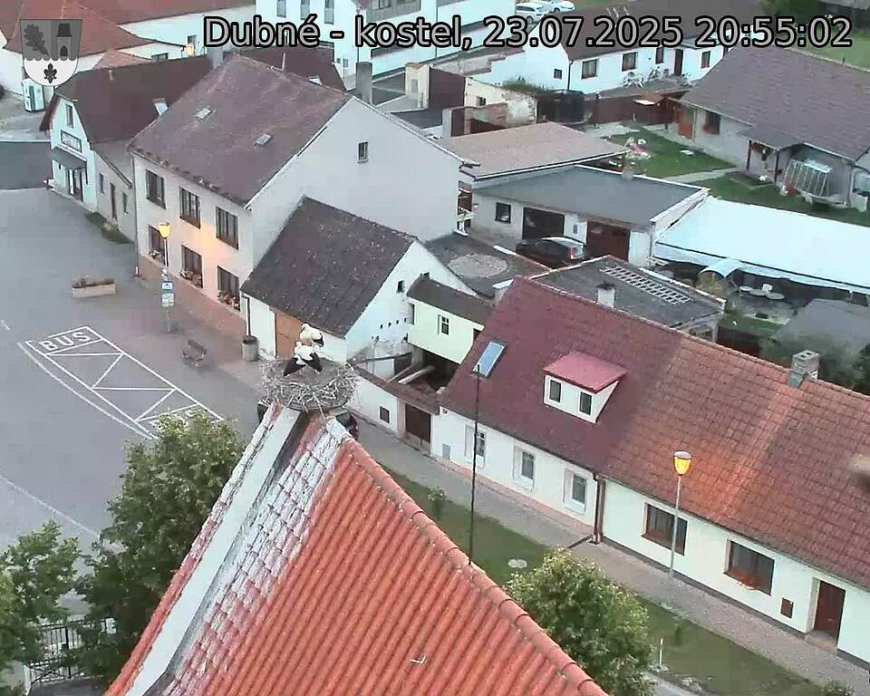 Capi_Dubne_20250723_205502.jpg (1350 x 1080)