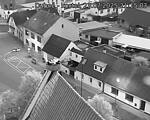 Capi_Dubne_20250723_211503.jpg