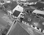 Capi_Dubne_20250724_050003.jpg