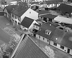 Capi_Dubne_20250724_050503.jpg