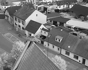 Capi_Dubne_20250724_051003.jpg (1350 x 1080)