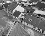 Capi_Dubne_20250724_051502.jpg
