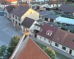 Capi_Dubne_20250724_053503.jpg