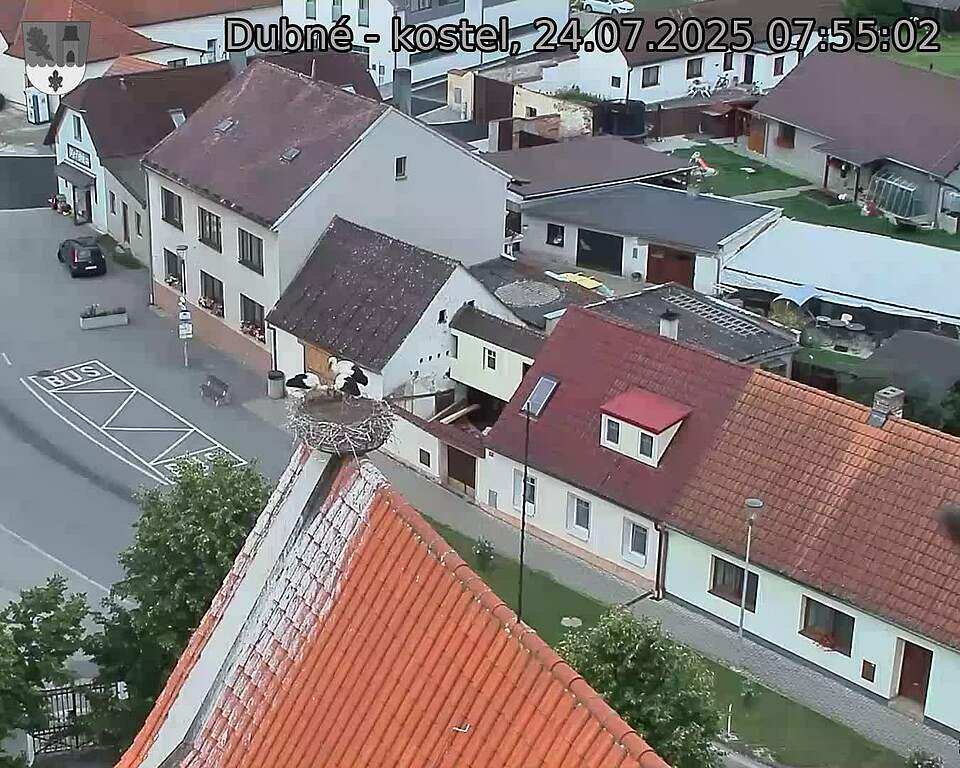 Capi_Dubne_20250724_075502.jpg (1350 x 1080)