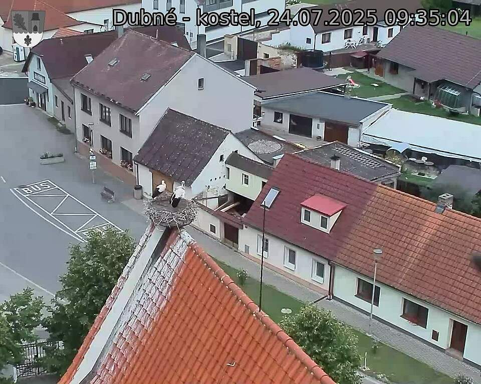 Capi_Dubne_20250724_093504.jpg (1350 x 1080)