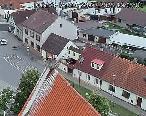 Capi_Dubne_20250724_100504.jpg (1350 x 1080)