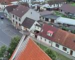 Capi_Dubne_20250724_112003.jpg