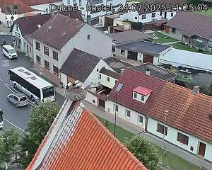 Capi_Dubne_20250724_112504.jpg (1350 x 1080)