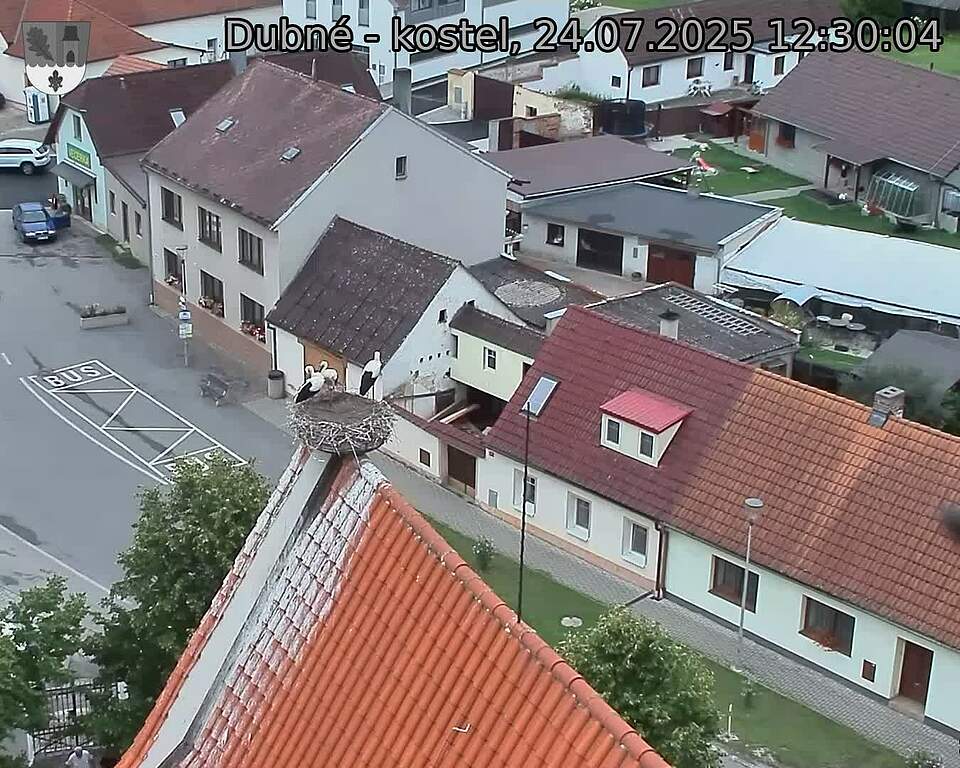 Capi_Dubne_20250724_123004.jpg (1350 x 1080)