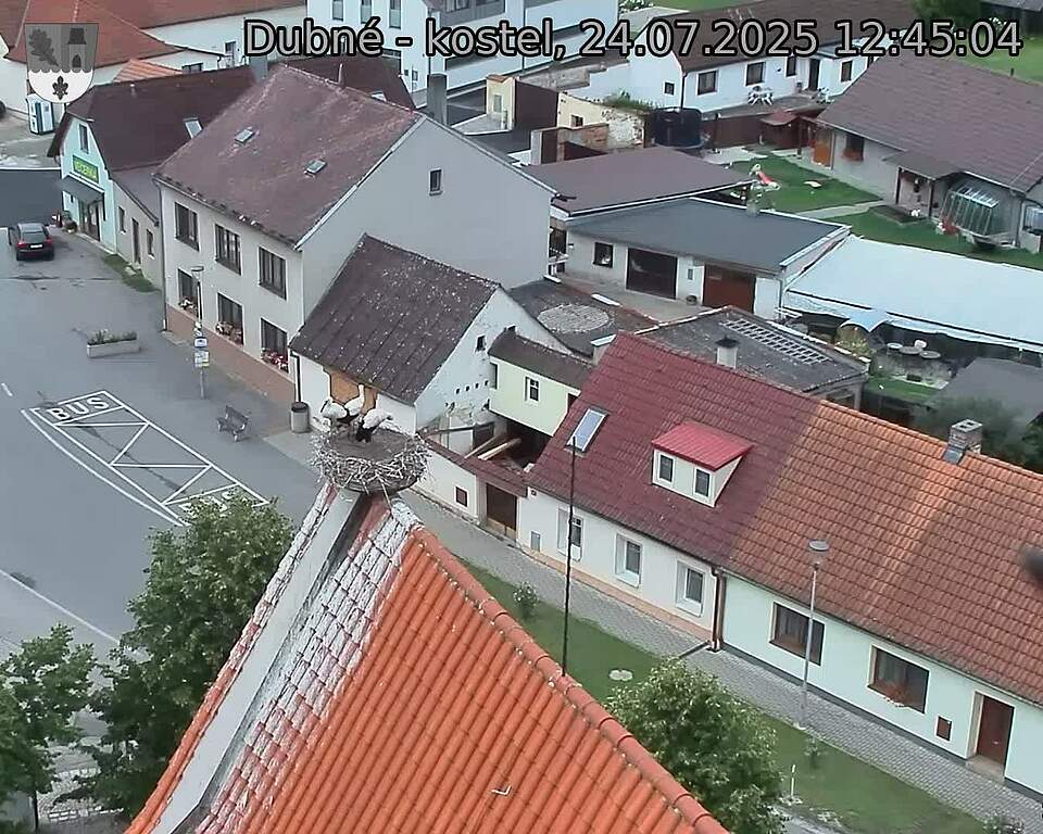 Capi_Dubne_20250724_124504.jpg (1350 x 1080)