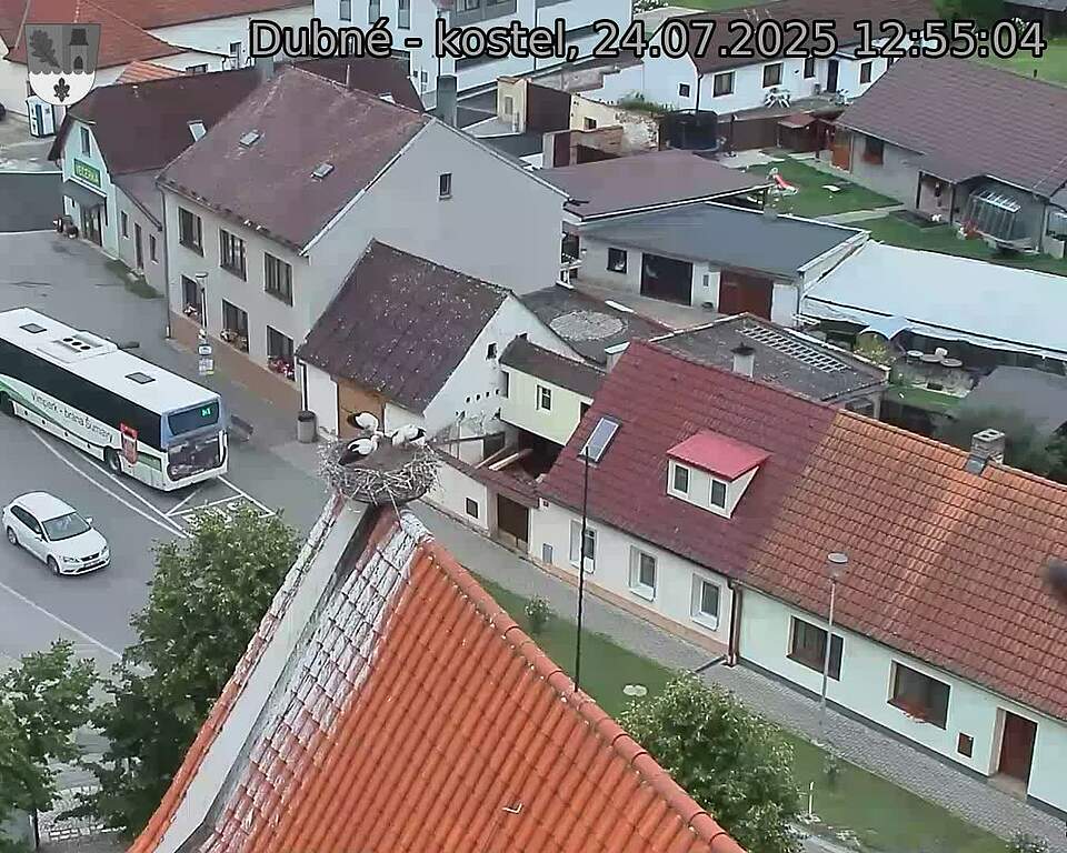 Capi_Dubne_20250724_125504.jpg (1350 x 1080)