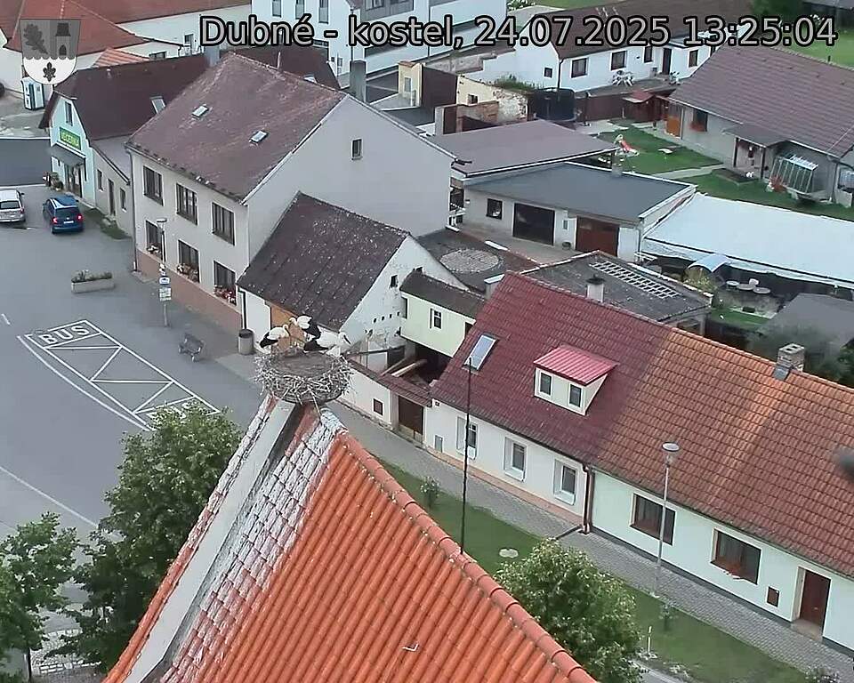Capi_Dubne_20250724_132504.jpg (1350 x 1080)