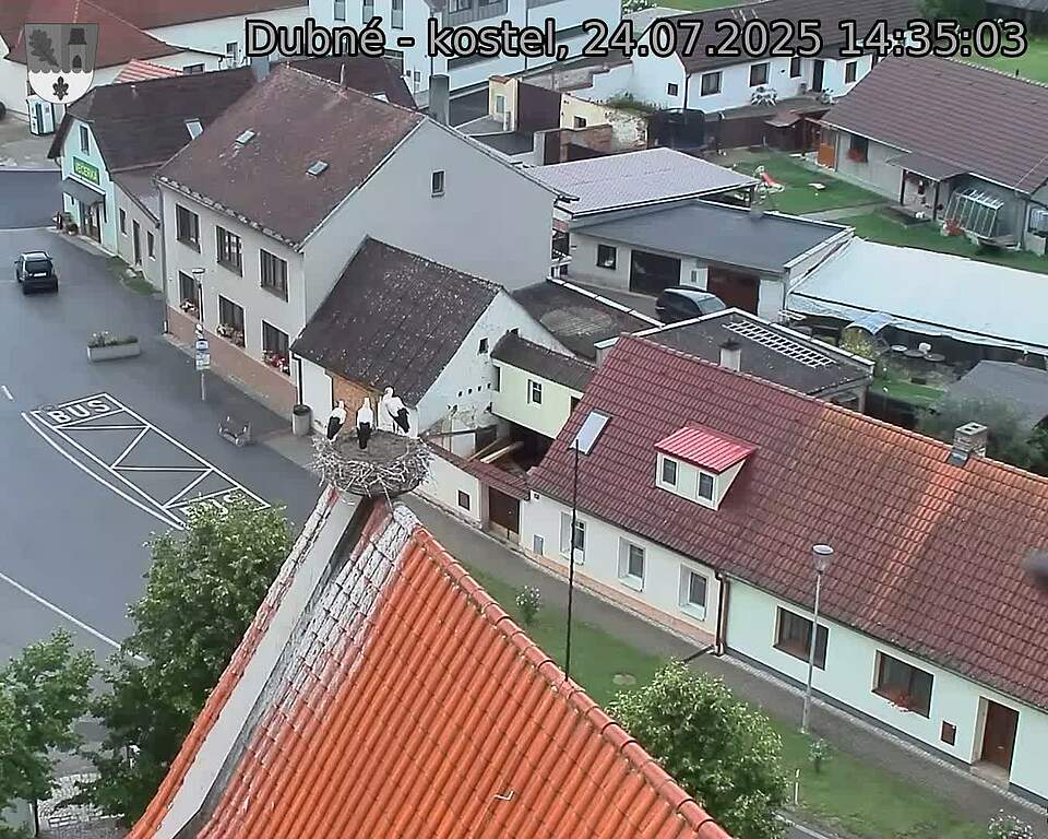Capi_Dubne_20250724_143503.jpg (1350 x 1080)