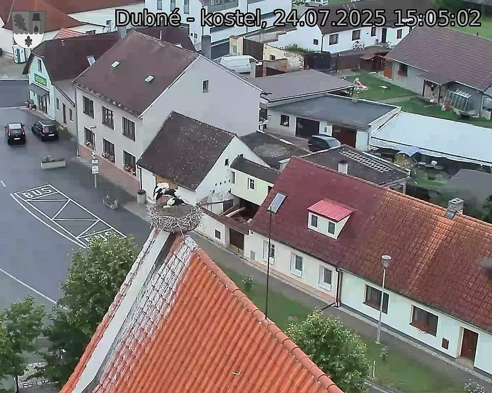 Capi_Dubne_20250724_150502.jpg (1350 x 1080)