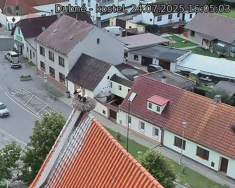 Capi_Dubne_20250724_160503.jpg (1350 x 1080)