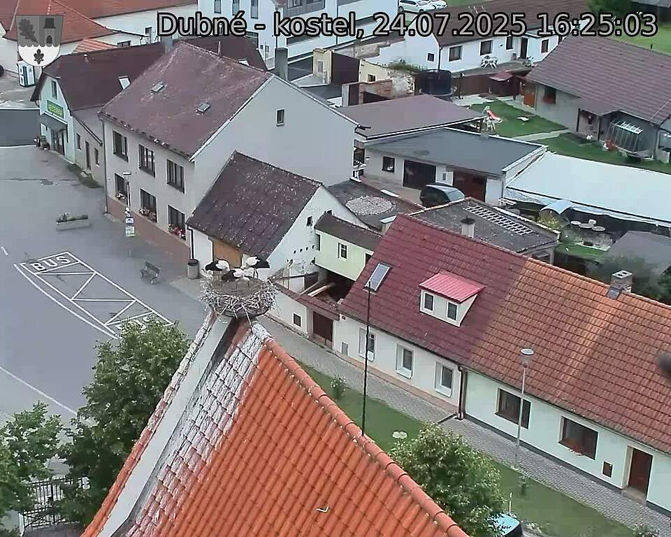Capi_Dubne_20250724_162503.jpg (1350 x 1080)