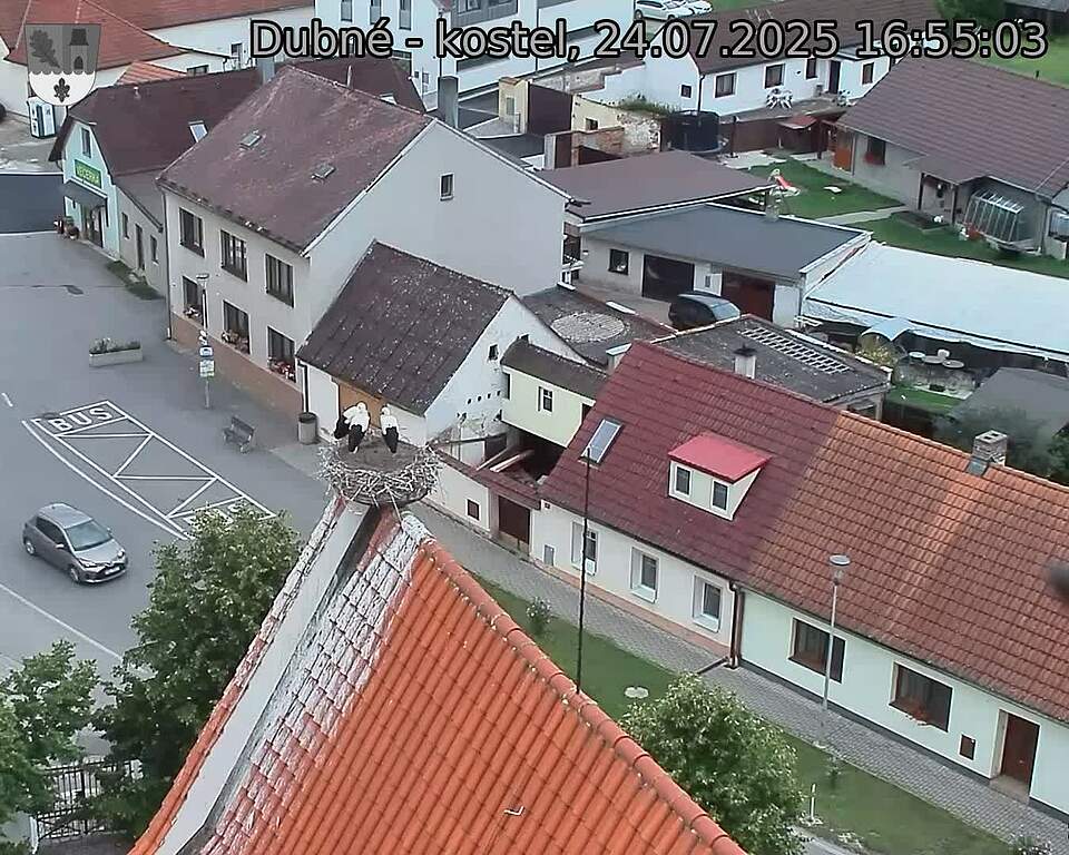 Capi_Dubne_20250724_165503.jpg (1350 x 1080)