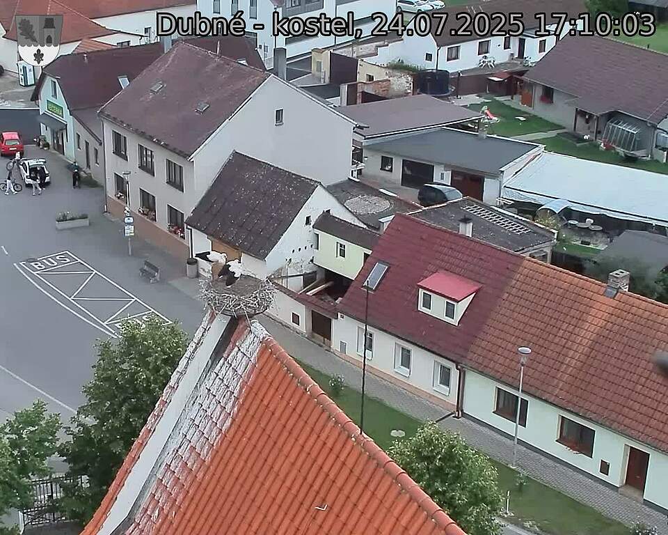 Capi_Dubne_20250724_171003.jpg (1350 x 1080)