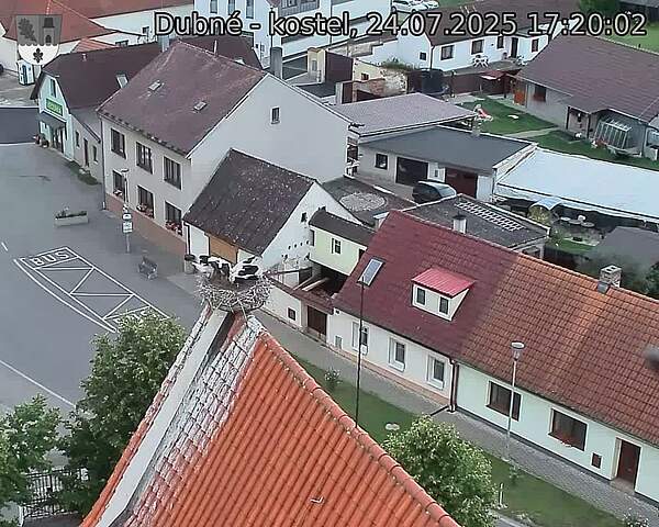 Capi_Dubne_20250724_172002.jpg (1350 x 1080)