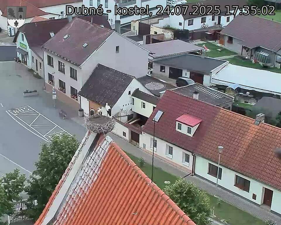 Capi_Dubne_20250724_173502.jpg (1350 x 1080)