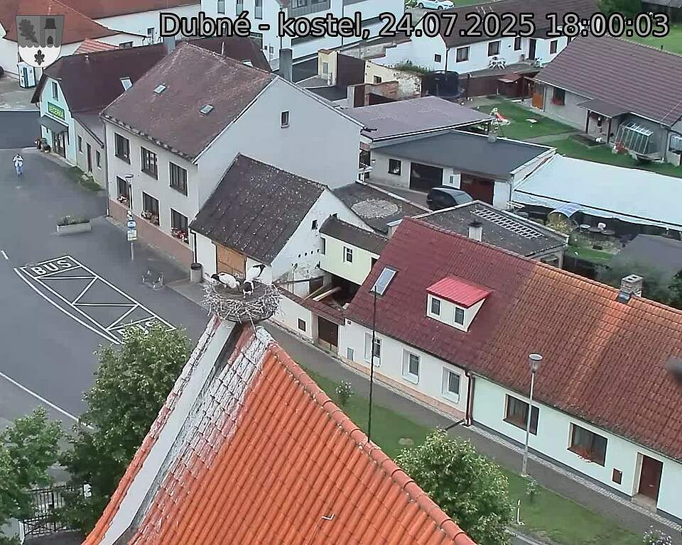 Capi_Dubne_20250724_180003.jpg (1350 x 1080)