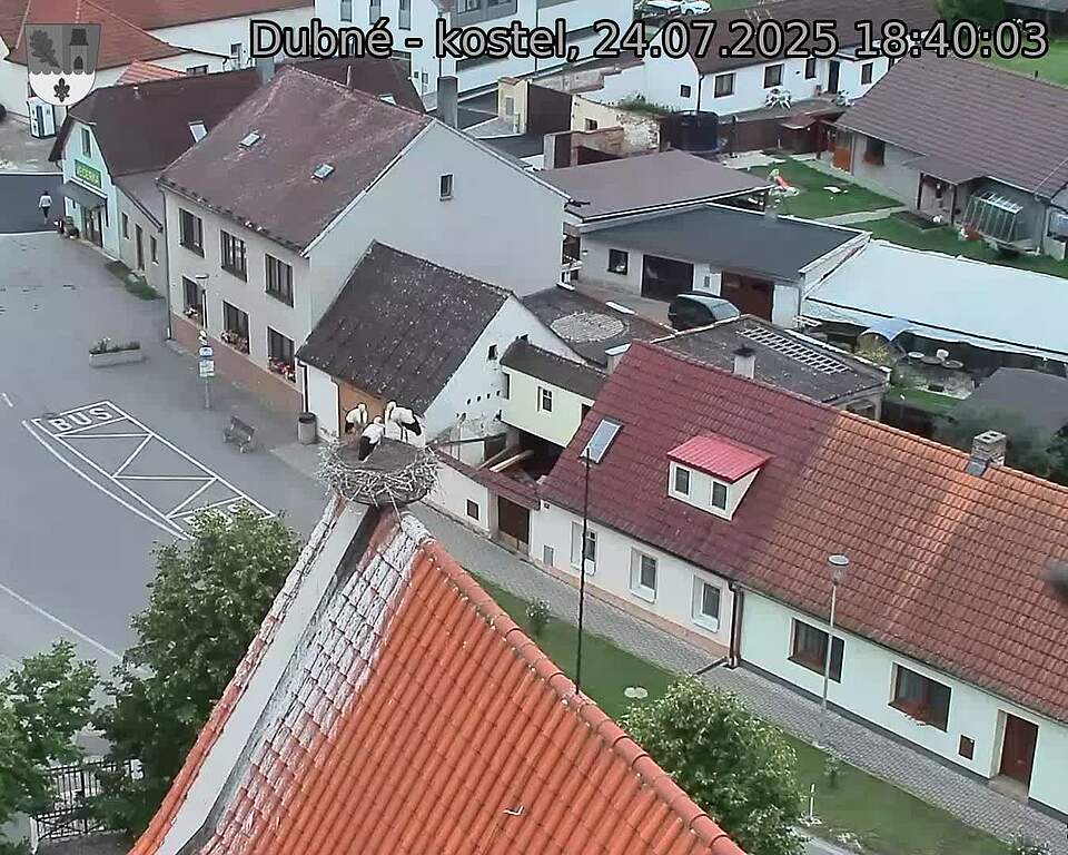 Capi_Dubne_20250724_184003.jpg (1350 x 1080)