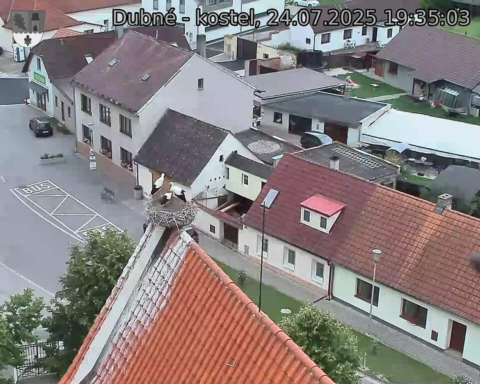 Capi_Dubne_20250724_193503.jpg (1350 x 1080)
