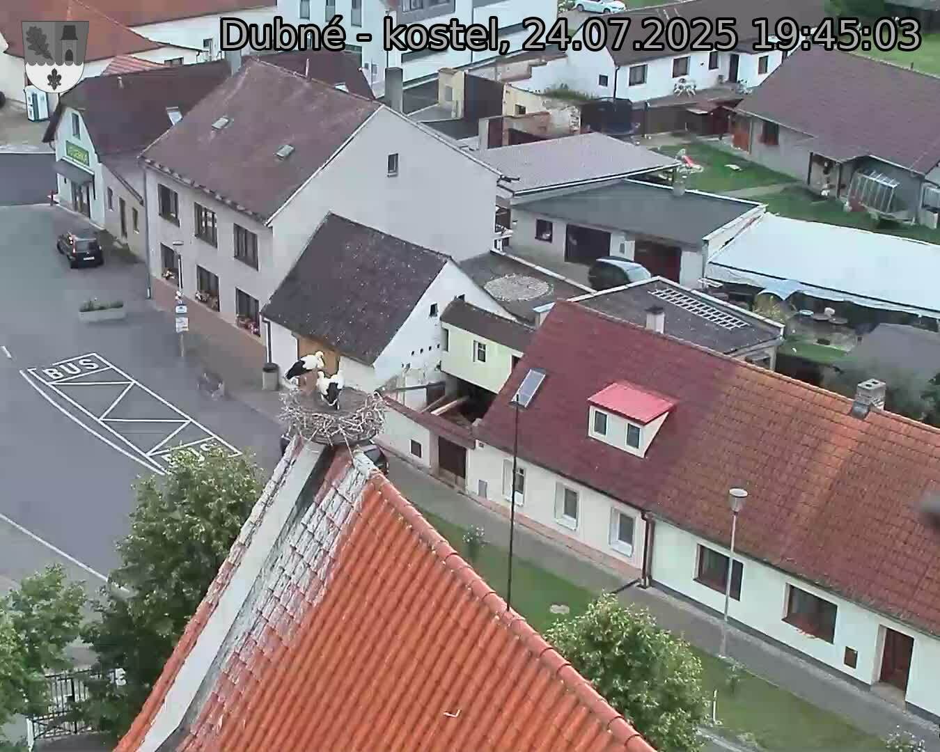 Capi_Dubne_20250724_194503.jpg (1350 x 1080)