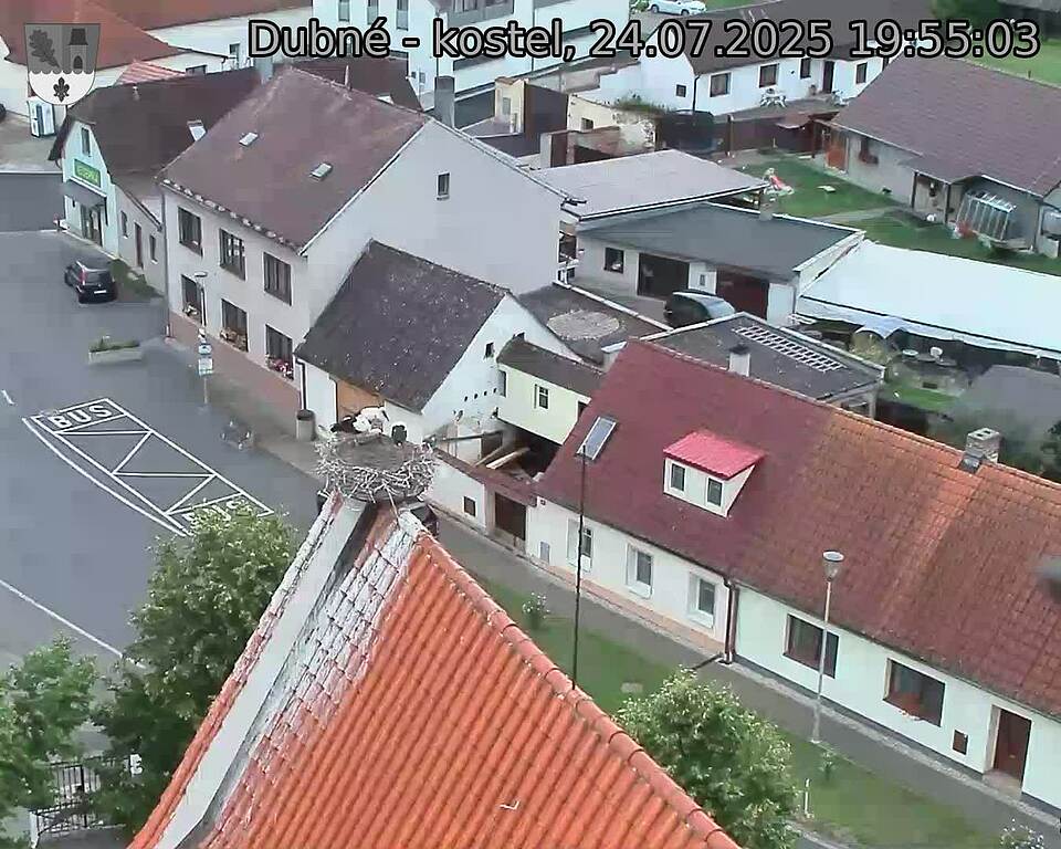 Capi_Dubne_20250724_195503.jpg (1350 x 1080)