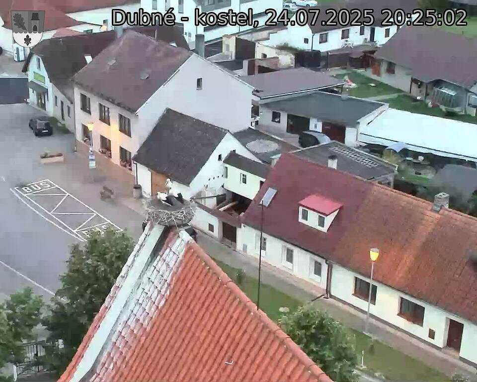 Capi_Dubne_20250724_202502.jpg (1350 x 1080)