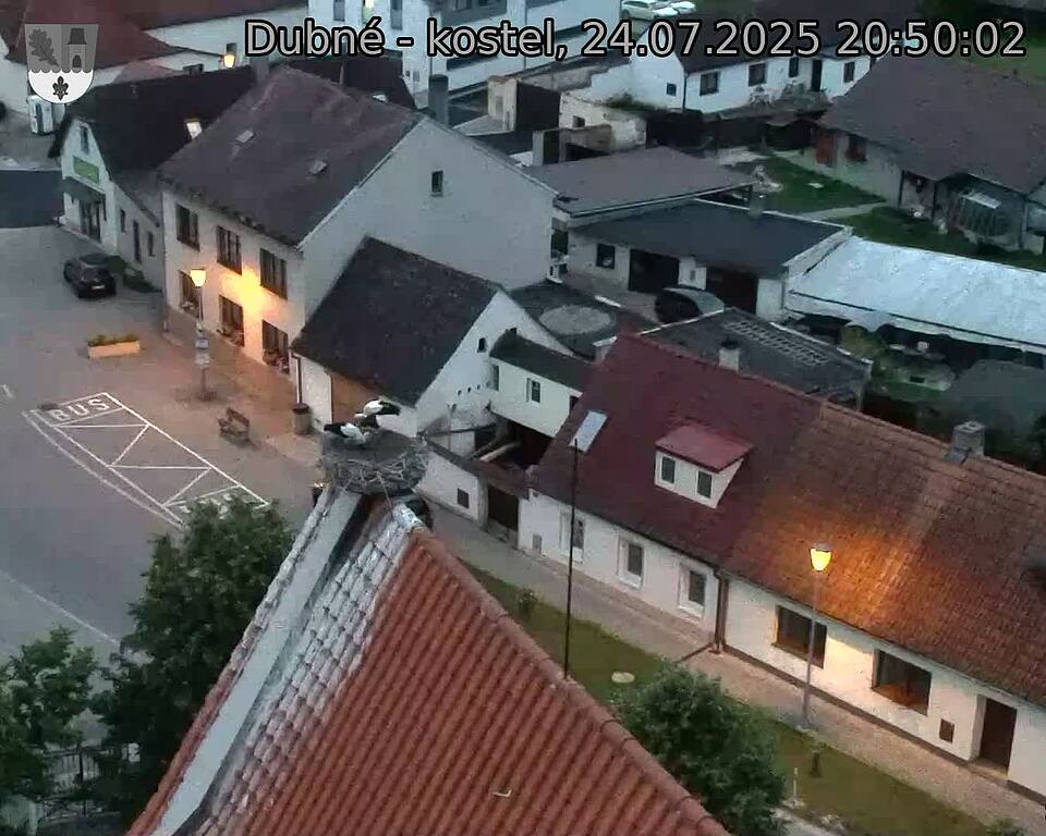 Capi_Dubne_20250724_205002.jpg (1350 x 1080)