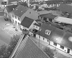 Capi_Dubne_20250724_211002.jpg