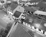 Capi_Dubne_20250725_050502.jpg