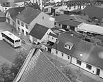 Capi_Dubne_20250725_051002.jpg