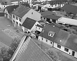 Capi_Dubne_20250725_051503.jpg