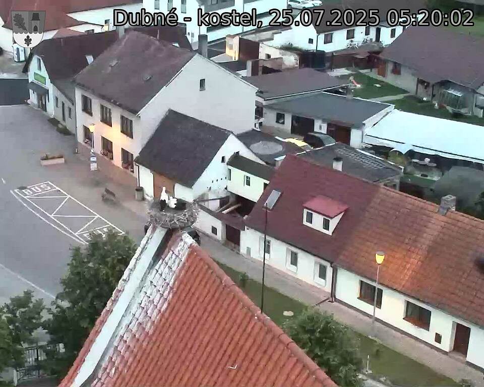 Capi_Dubne_20250725_052002.jpg (1350 x 1080)
