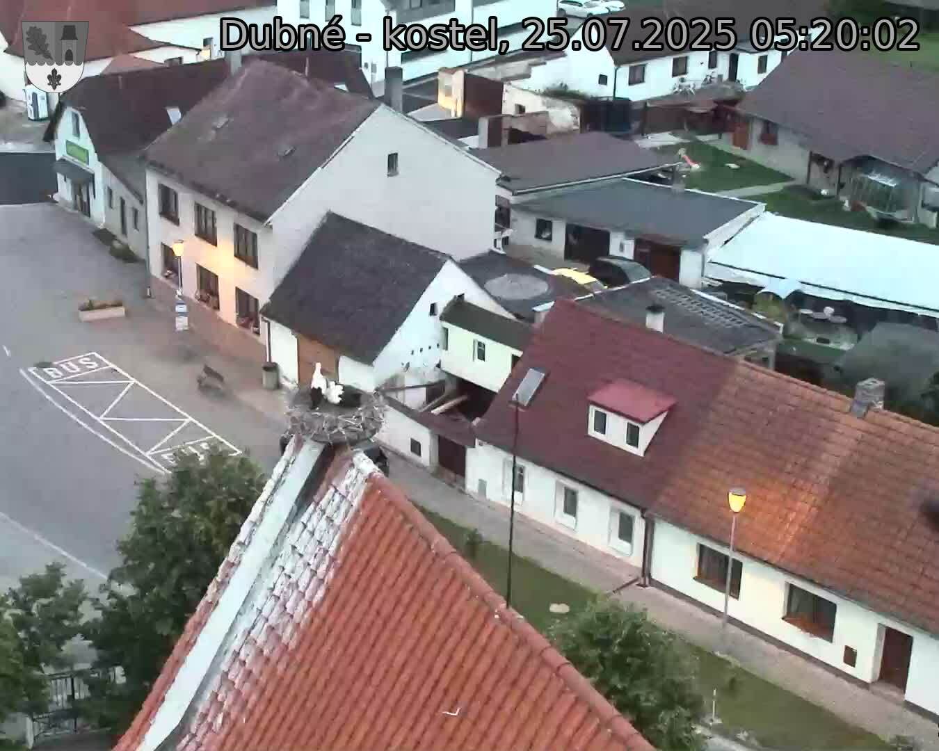 Capi_Dubne_20250725_052002.jpg (1350 x 1080)