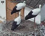 Capi_Dubne_20250725_122003.jpg